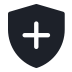Protection Icon